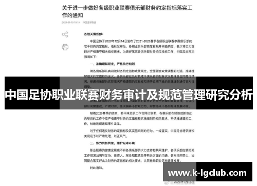 中国足协职业联赛财务审计及规范管理研究分析 中国足协职业联赛财务审计及规范管理研究分析